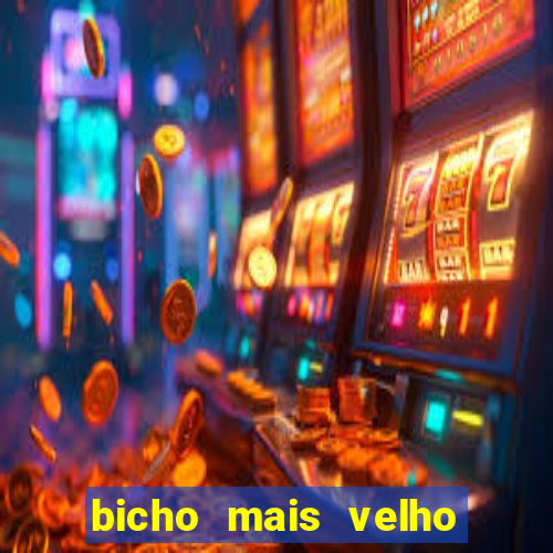 bicho mais velho da loteria dos sonhos